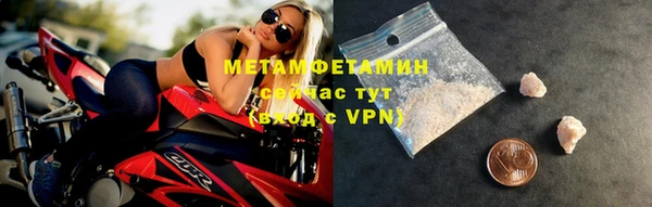 сатива Ельня