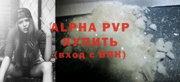сатива Ельня