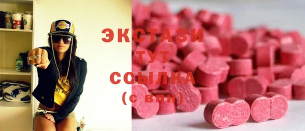 сатива Ельня