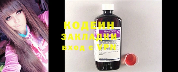 сатива Ельня
