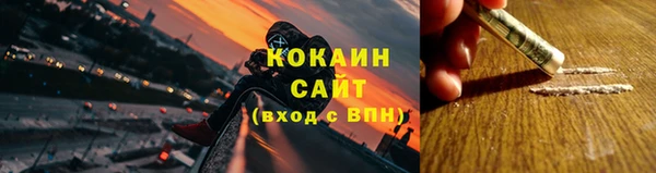 сатива Ельня