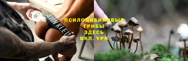 сатива Ельня