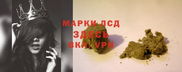 сатива Ельня