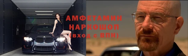 сатива Ельня