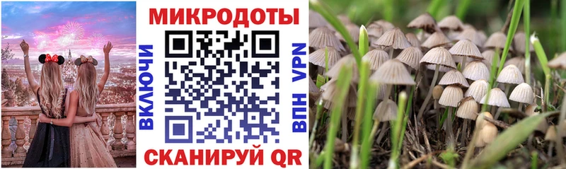 Галлюциногенные грибы GOLDEN TEACHER  Купить  Калининск 